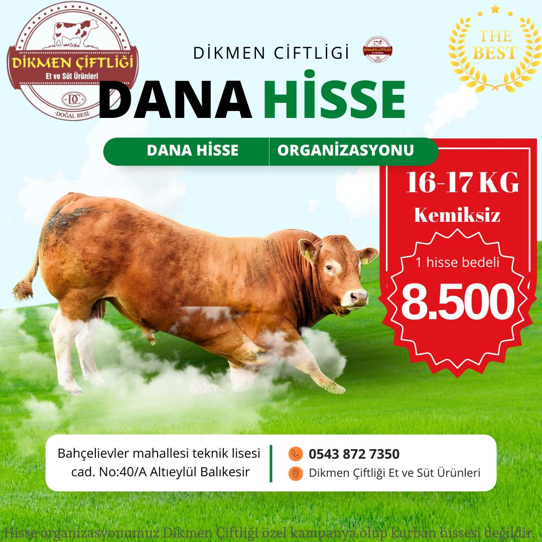 DANA HİSSE - 1